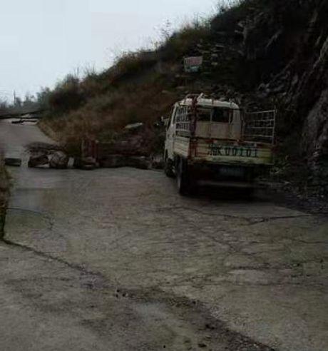 杞县圉镇车祸最新爆料,悲剧现场细节披露,伤亡情况引关注